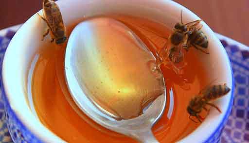 пчелы и мед в стакане